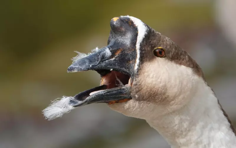 女人情场上的3禁忌：把分手挂嘴边