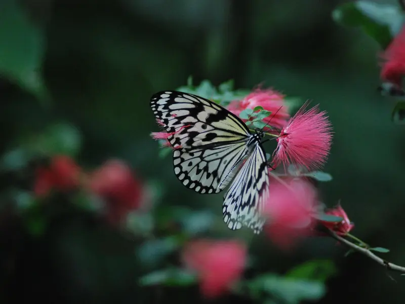 花心的男人，常挂在嘴边的3句话，女人多留心