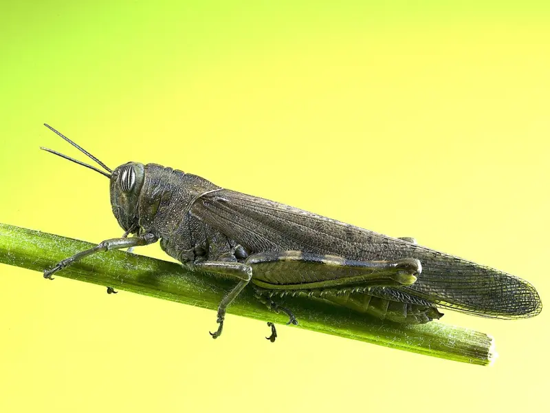 抓住男人真心的3个技巧，用好一个，就能让他对你死心塌地