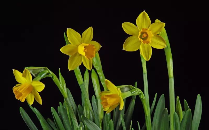 4个很准的分手预兆，别说你不信!