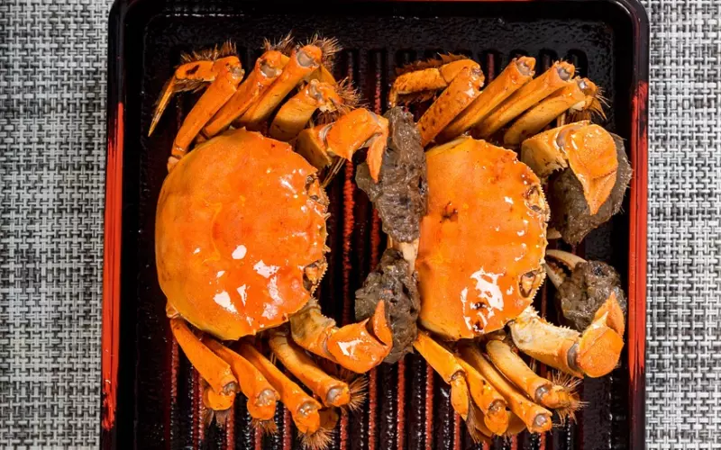 微信 探探 陌陌等软件上，追女生聊天的4大错误！