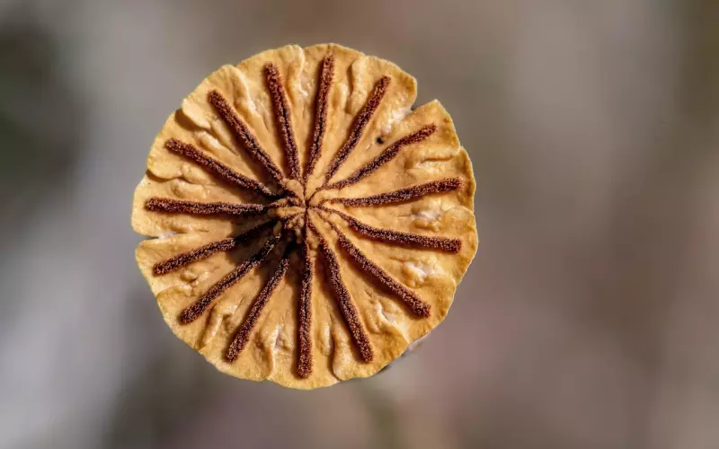 挽回男友4种正确挽回方式