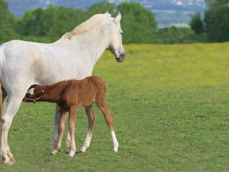 想约你出来的4句“暗示”，听不懂就错过了！
