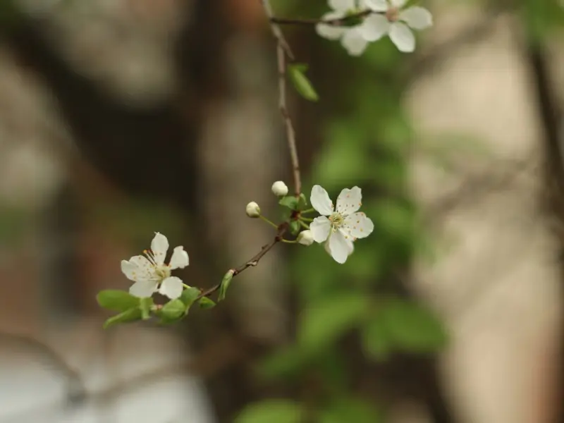 让女人酥软的4个小动作，男人要会做！