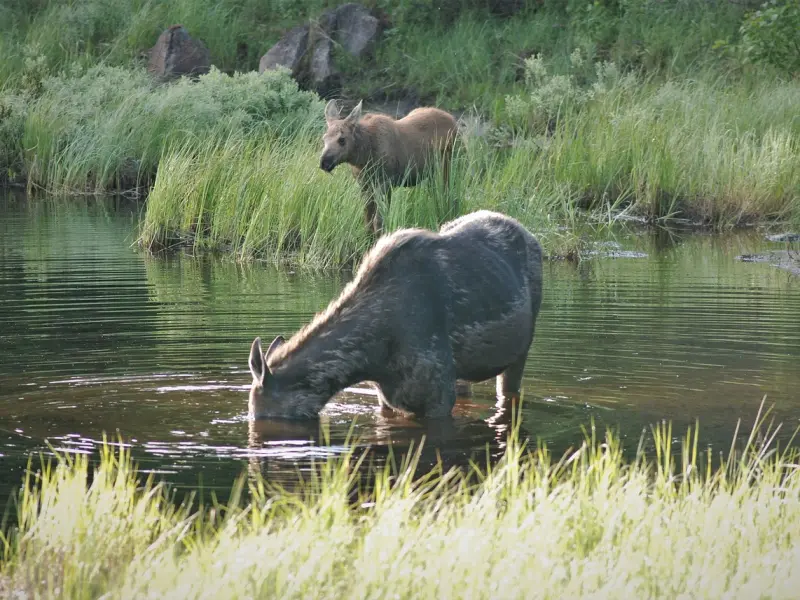 女人对你动了情，想和你亲热的4个表现，别再错过了