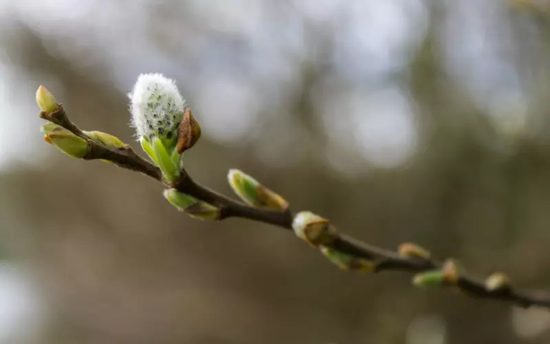 4个信号，预示着你们复合的可能