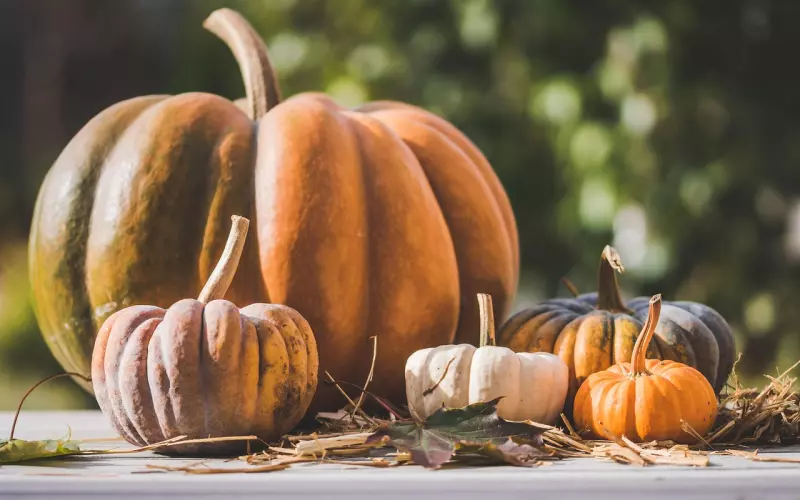 挽回男友的4大禁忌，千万不要做！