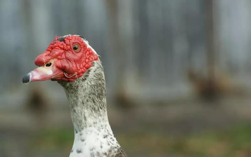 异性之间绝对不能做的4件事，做了，准出事！