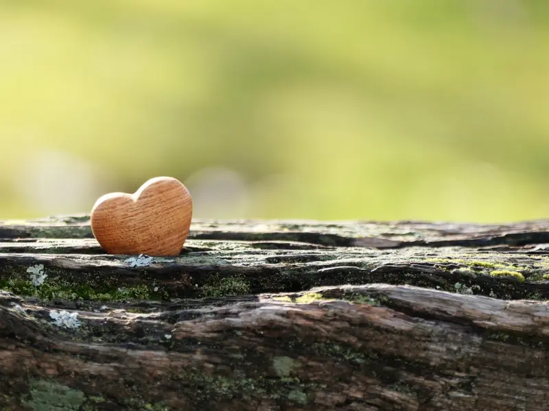 恋爱4大招，让她爱你无法自拔。