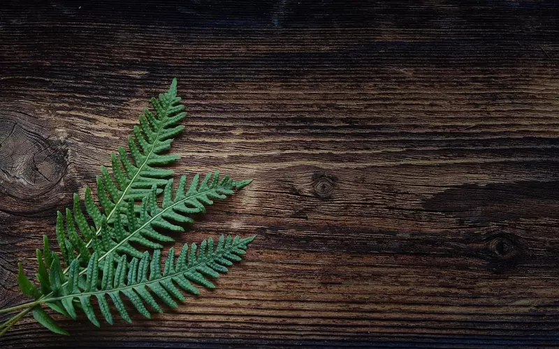 二次吸引挽回男友的4个小Tips