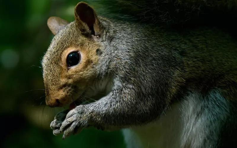 二次吸引挽回男友的4个小Tips