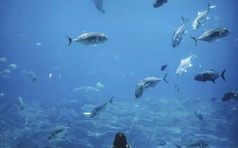 挽回男友必须知道的4个方法技巧