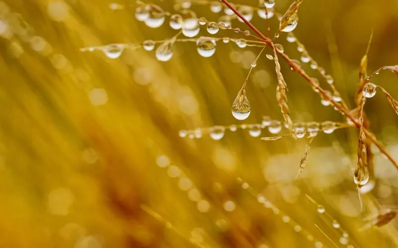 4个方法让异地恋修成正果