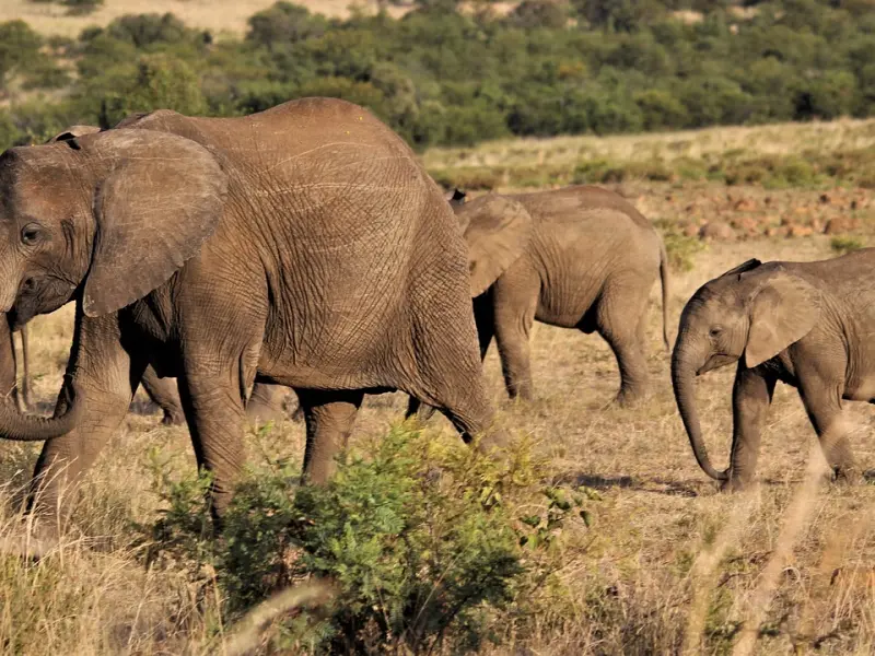 ✅4岁女童把芭比娃娃塞进下体，原因令父母心碎…