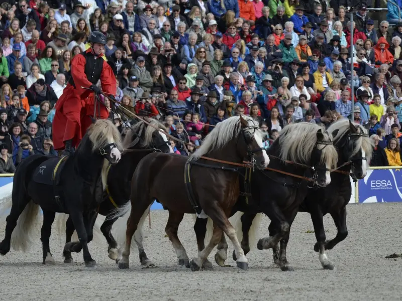 5个分手后挽回的最佳时机，你千万不要错过