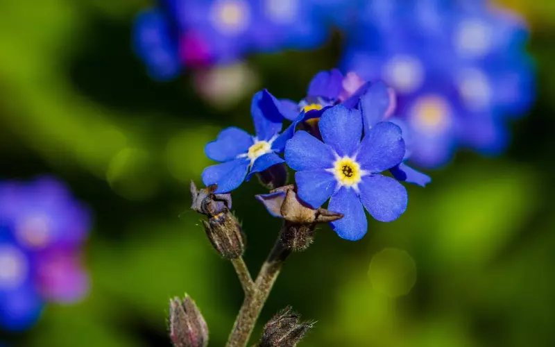 挽回男友回复我别烦我没空的5个有效方法