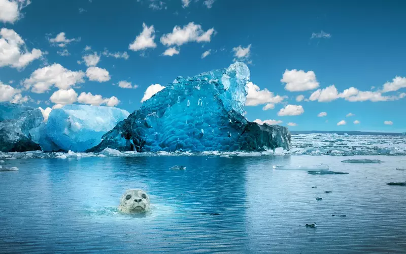 分手后最让人忍受不了的5件事！挽回中的你做过几件？