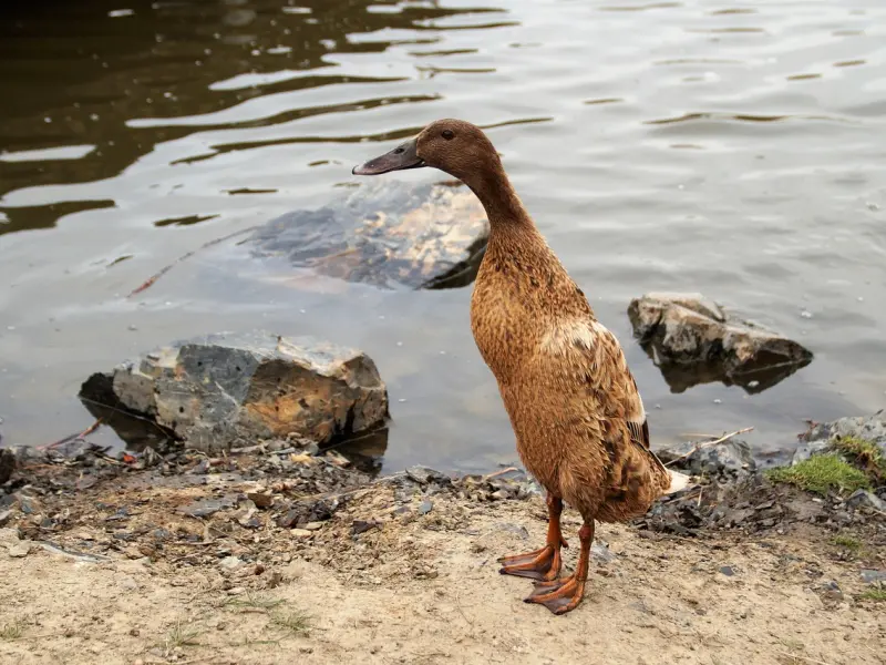 女人动情了的5个标志，中3条以上，她就是你的人了！