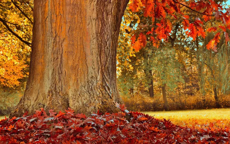 5种情况下男生会毫不犹豫强吻女生