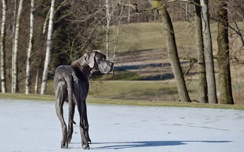 男友绝情提出分手 5大挽回攻略让他回到你身边
