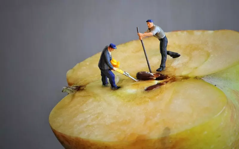 快速挽回前任的5个小技巧