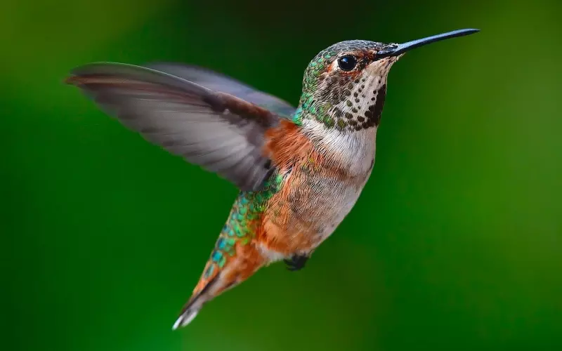 快速挽回前任的5个小技巧