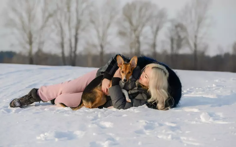 50句年度最经典语录，挑一句喜欢的发朋友圈吧！