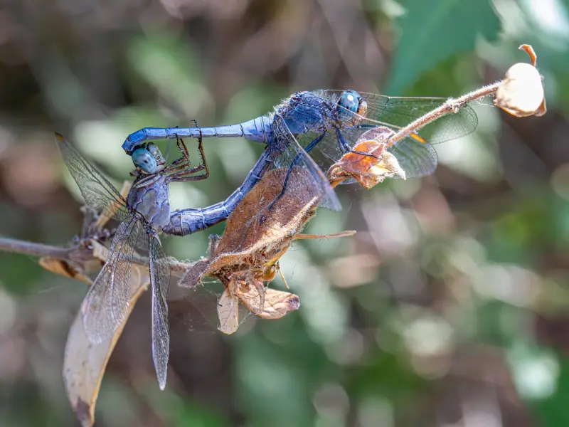 “渣男”的6个表现，简直渣到极点，希望你没有遇到过！
