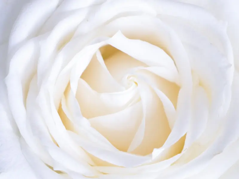 6招恋爱男女心理技巧，让你抢占情感致胜先机~