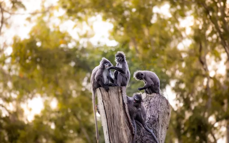 6招暗调情，让爱情迅速升温！
