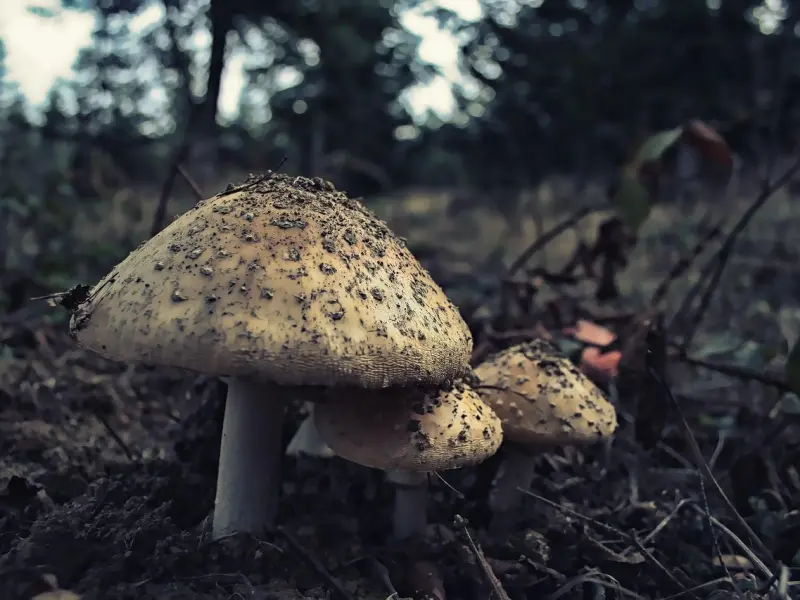 男人爱你入骨会有的6个表现，中3条以上，不要让他跑了！