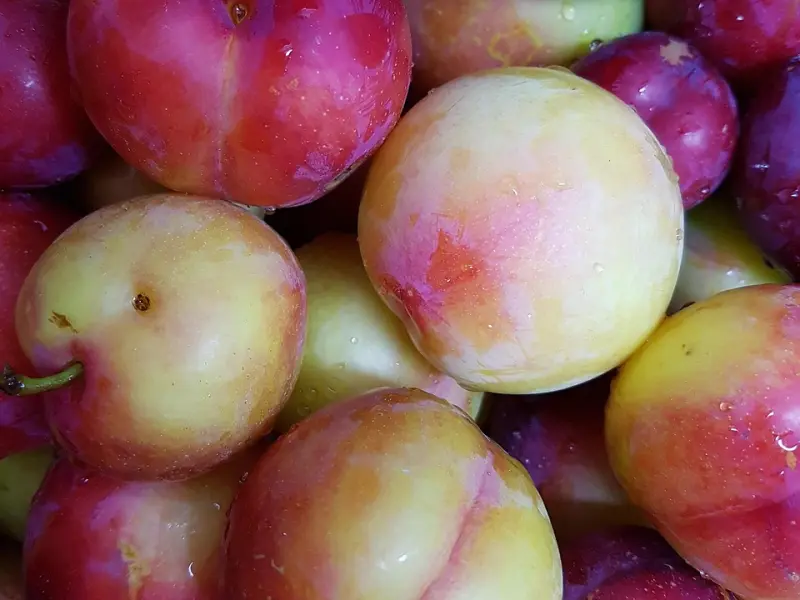 把妹达人分析的6个挽回女友的方法