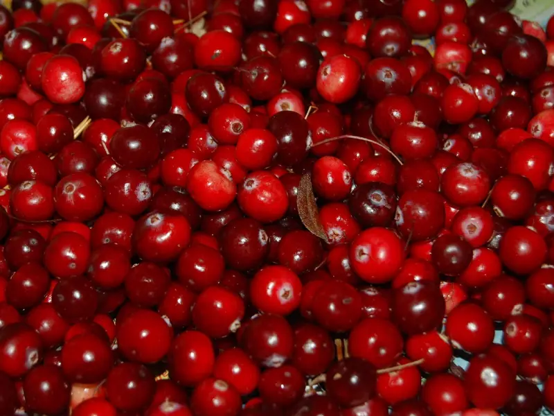 女人爱的越深越难避免的7种表现