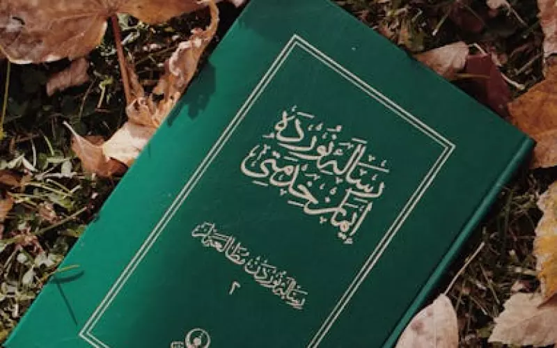 如何快速挽回婚姻的7条(如何挽回婚姻修复婚姻的三大攻略)