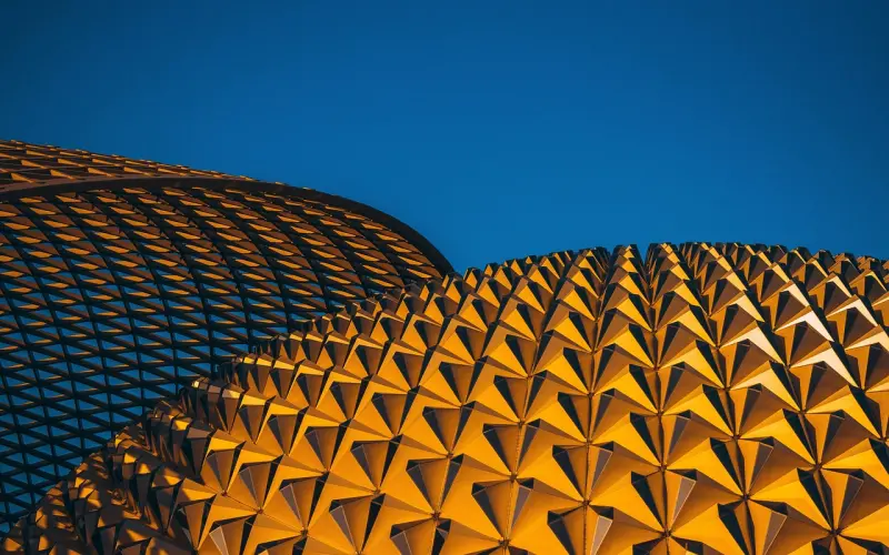 剩女才用的8个单身借口