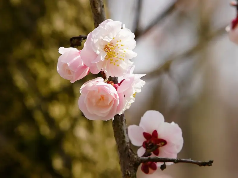 8种开场白，让你和女生迅速进入状态