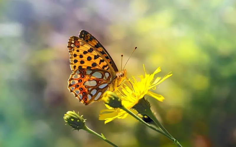 自我毁灭的8个大坑（好文）