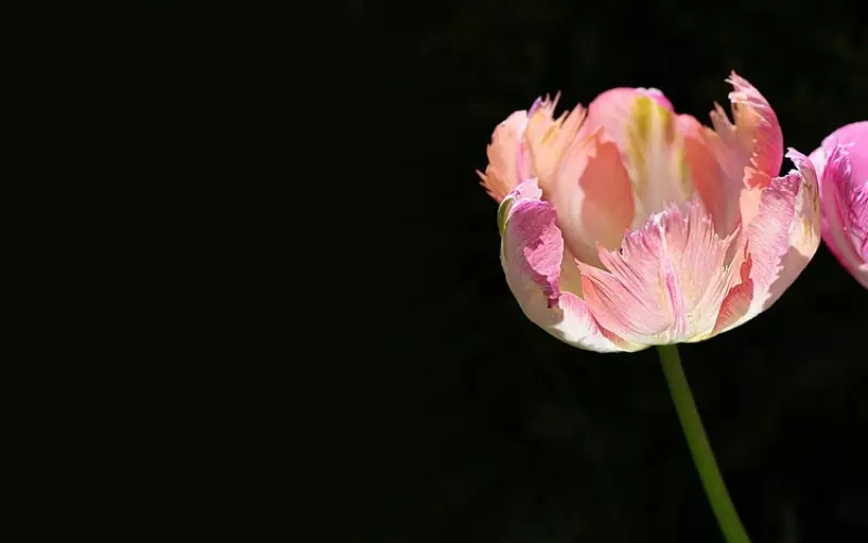 挽回真性分手8个步骤，实现再次在一起的可能性！