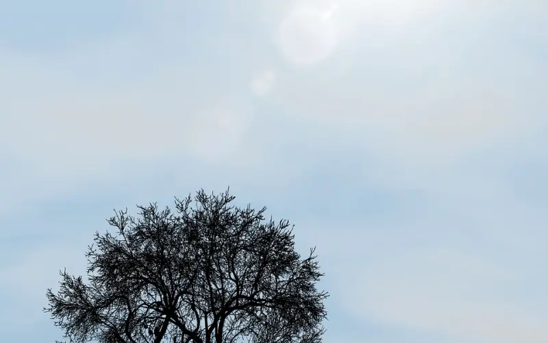 9大爱情神器，助你约会恋爱！