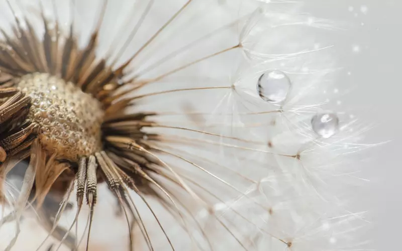 9个表现说明你还没放下前男友