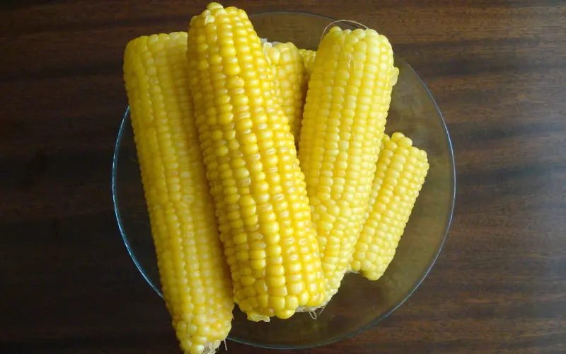 体验甜蜜初吻的9个步骤