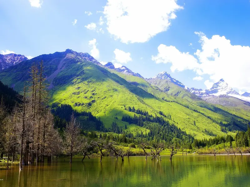 90%的姑娘挽回失败，都输在了这四个字！