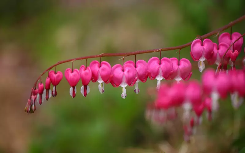 95%的女生不知道，挽回男友的心只需要一句话