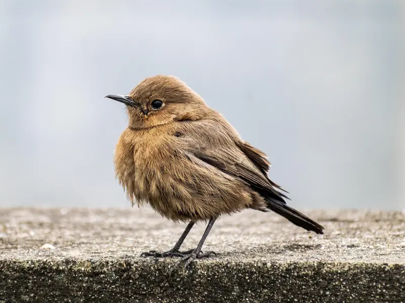 99%的人都不知道，聊天原来还可以这样！