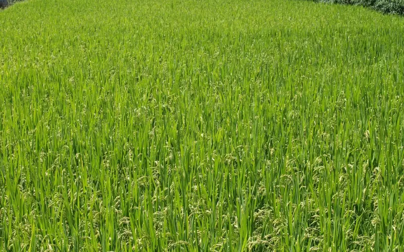 你听说的99%的挽回方法都是错误的