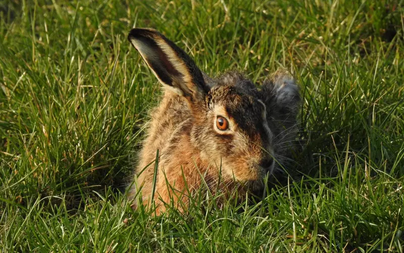 一位21岁女总裁忠告，不想穷就点开看看！！