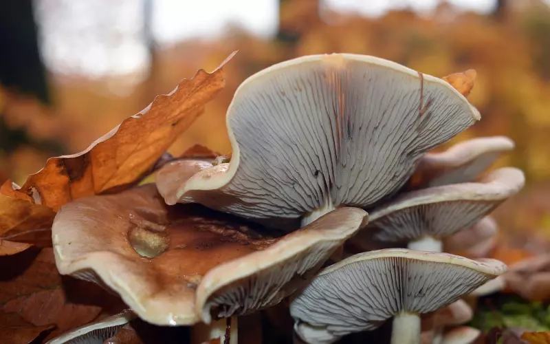 28岁女人哭诉：网恋45天，完美男友消失了，26万存款也没了