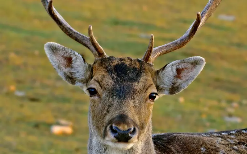 29岁小伙初恋爱上62岁大妈，同居后大妈受不了！