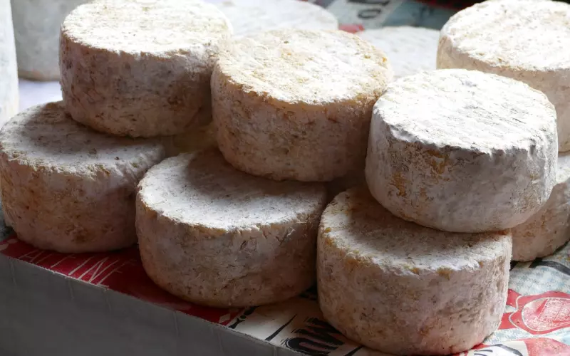 39岁的小伙子娶71岁老太！（真人真事）