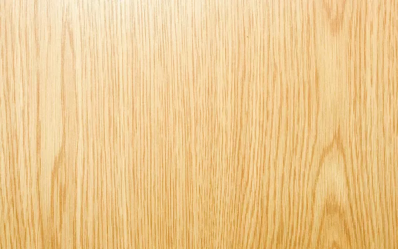 江西43岁“玻璃女”网恋4年，嫁30岁湖北残疾小伙，如今活咋样？